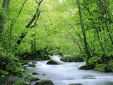 nature-summer-wallpaper-22.jpg