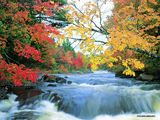 autumn-nature-wallpaper-24.jpg