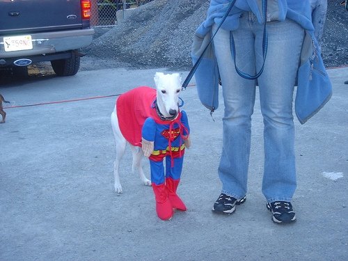 Superdog[1].JPG