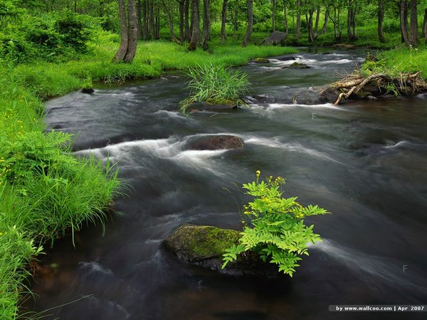 beautiful-scenery-desktop-of-japan-8.jpg