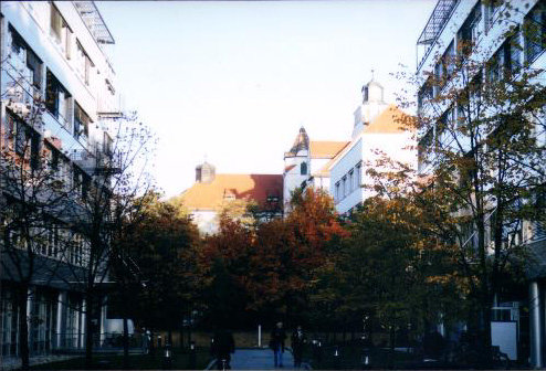 munich08.jpg