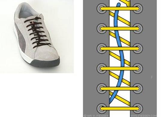 shoelace001.jpg