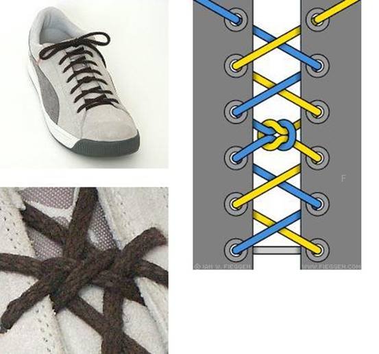 shoelace012.jpg