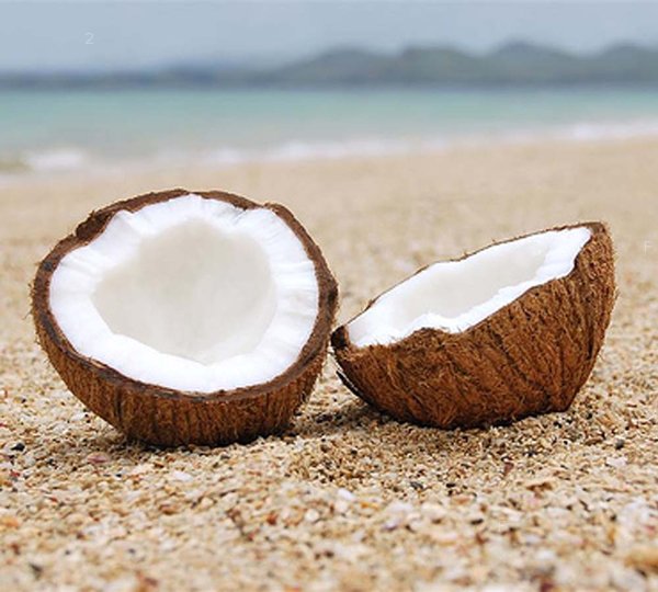 coconut-1.jpg