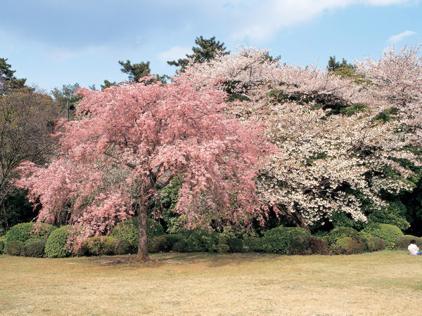 desktop-wallpaper-of-korea-landscape-4.jpg