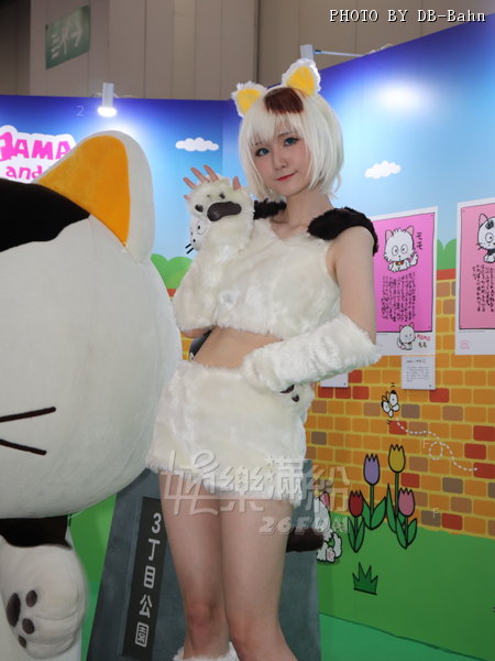 C3-190223-Cat_43-Q.jpg