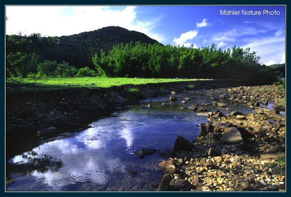 赤徑白水岩涌口.jpg