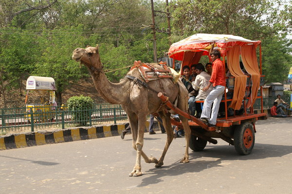 India09-Agra-泰姬陵_06.jpg