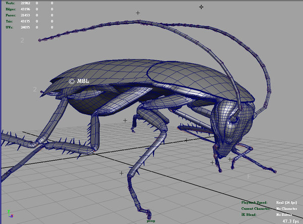 roach_wireframe.jpg