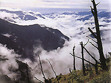 yushan-18.jpg