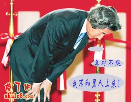 安南挫小日本08.jpg