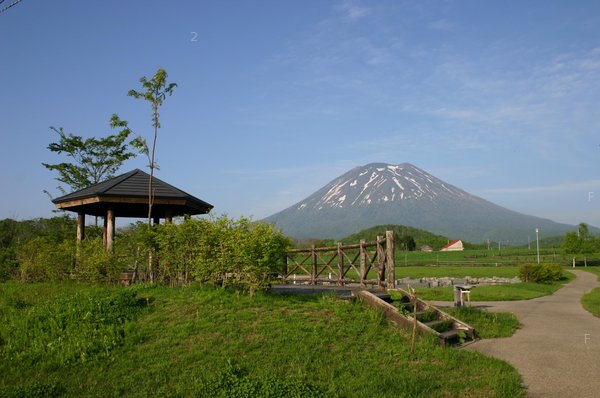 niseko04.JPG