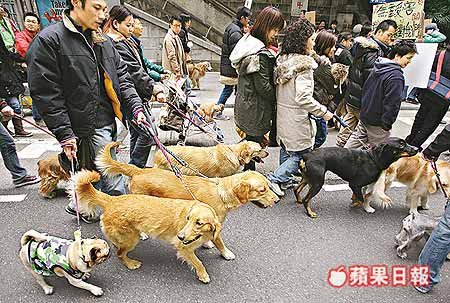 遊 行 人 士 牽  寵 物 大 步 進 發 ， 沿 途 秩 序 良 好 。.jpg