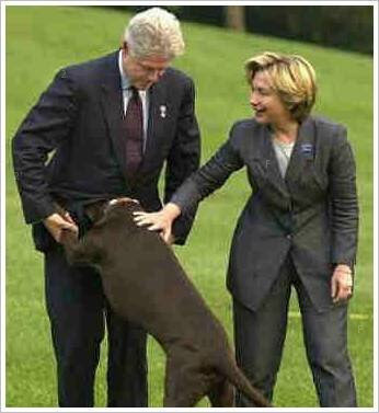 bill clinton dog.jpg