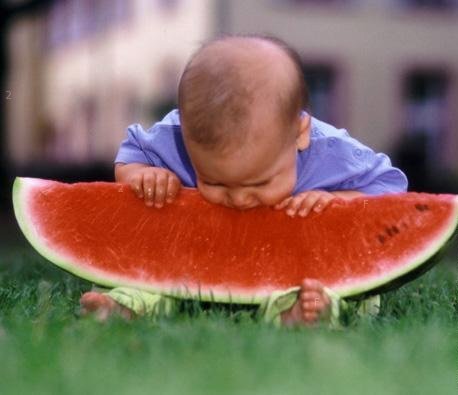 watermelon.jpg