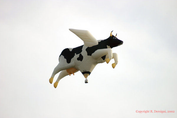 Flying-Cow.jpg