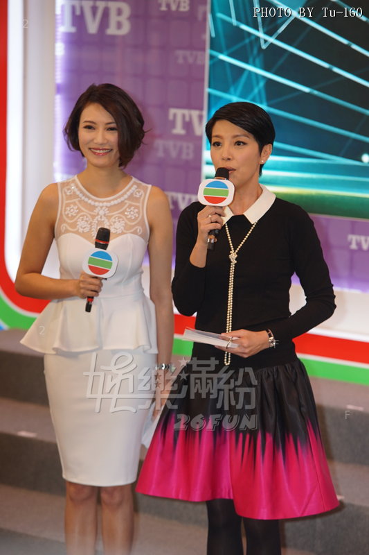 TDC-TVB-1503d1_002.JPG