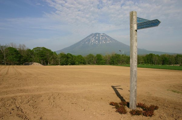 niseko01.JPG