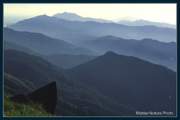 大帽山郊野公園禾塘崗.jpg